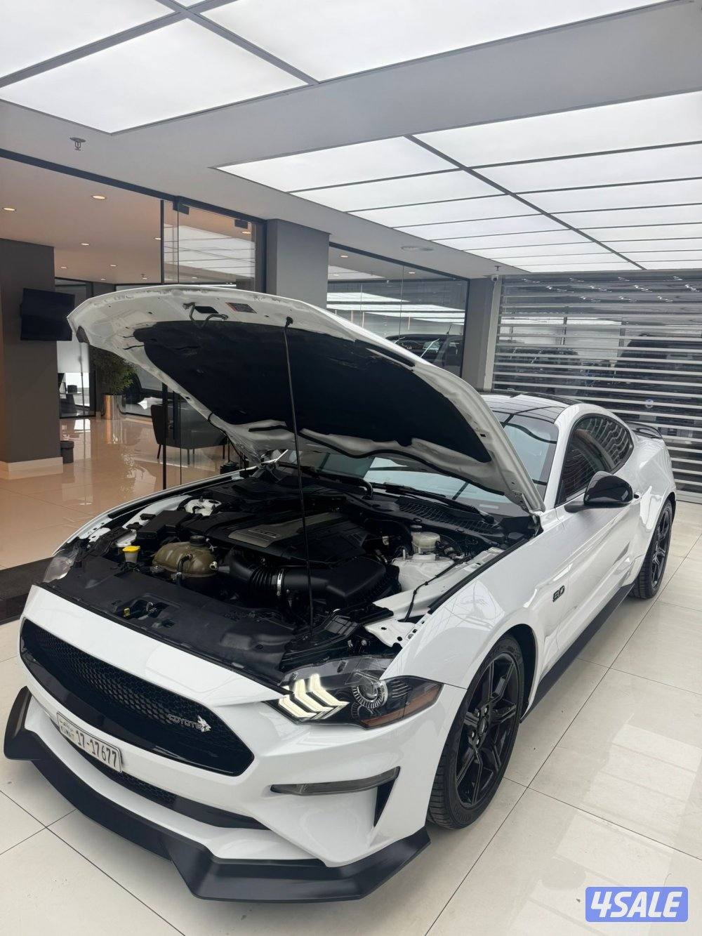 موستنق 2019 عداد 144 ستوك شرط الفحص بلكامل اذا في شي الفحص مرجوع9