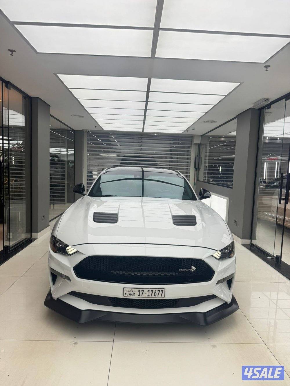 موستنق 2019 عداد 144 ستوك شرط الفحص بلكامل اذا في شي الفحص مرجوع11