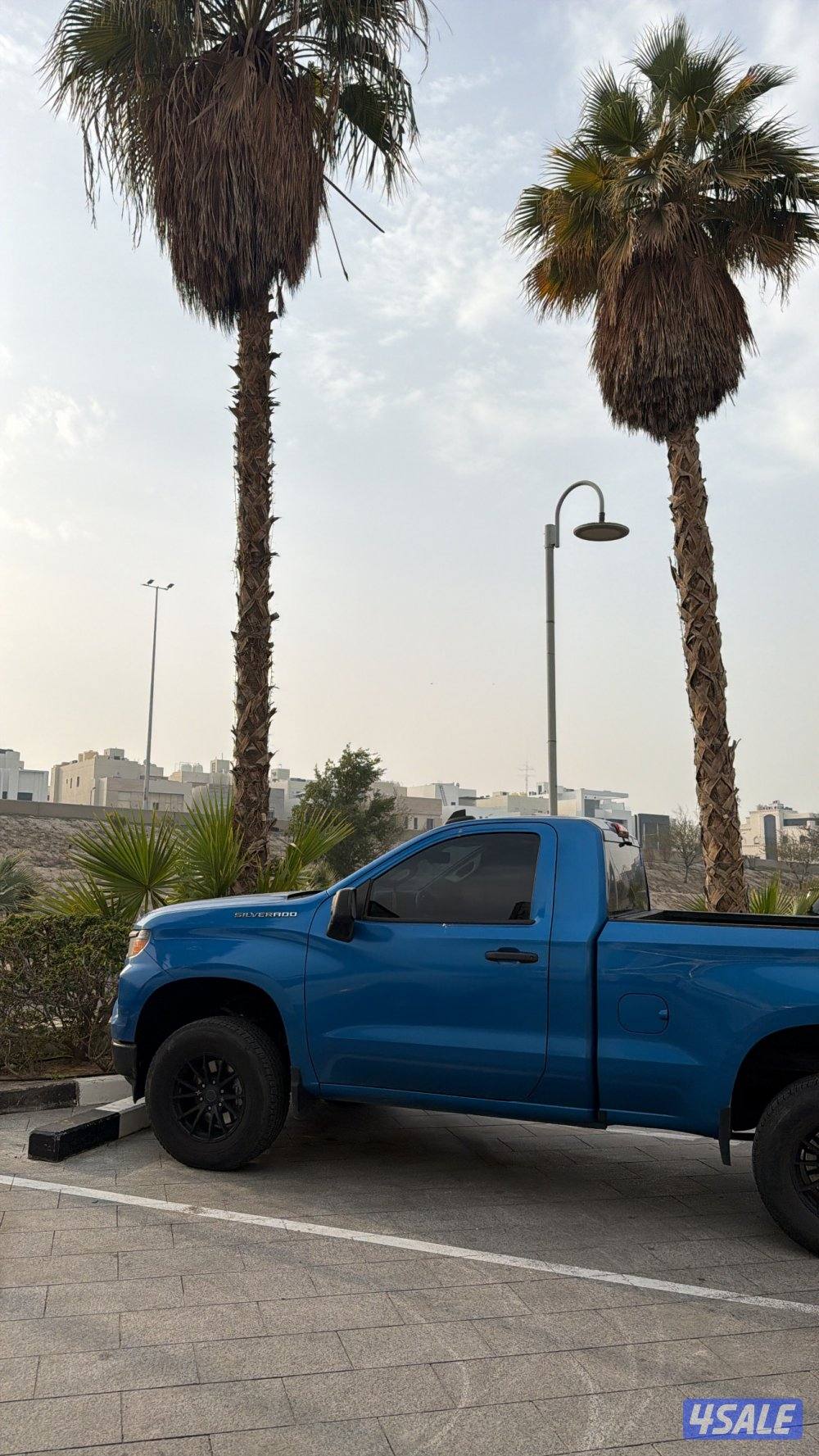 سلفرادو 20220