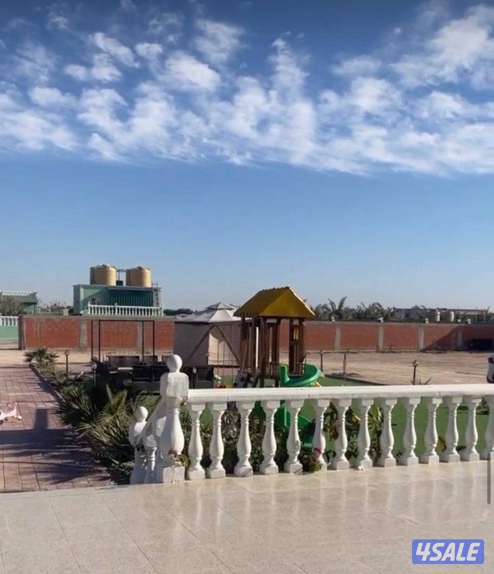 للإيجار مزرعه في العبدلي2