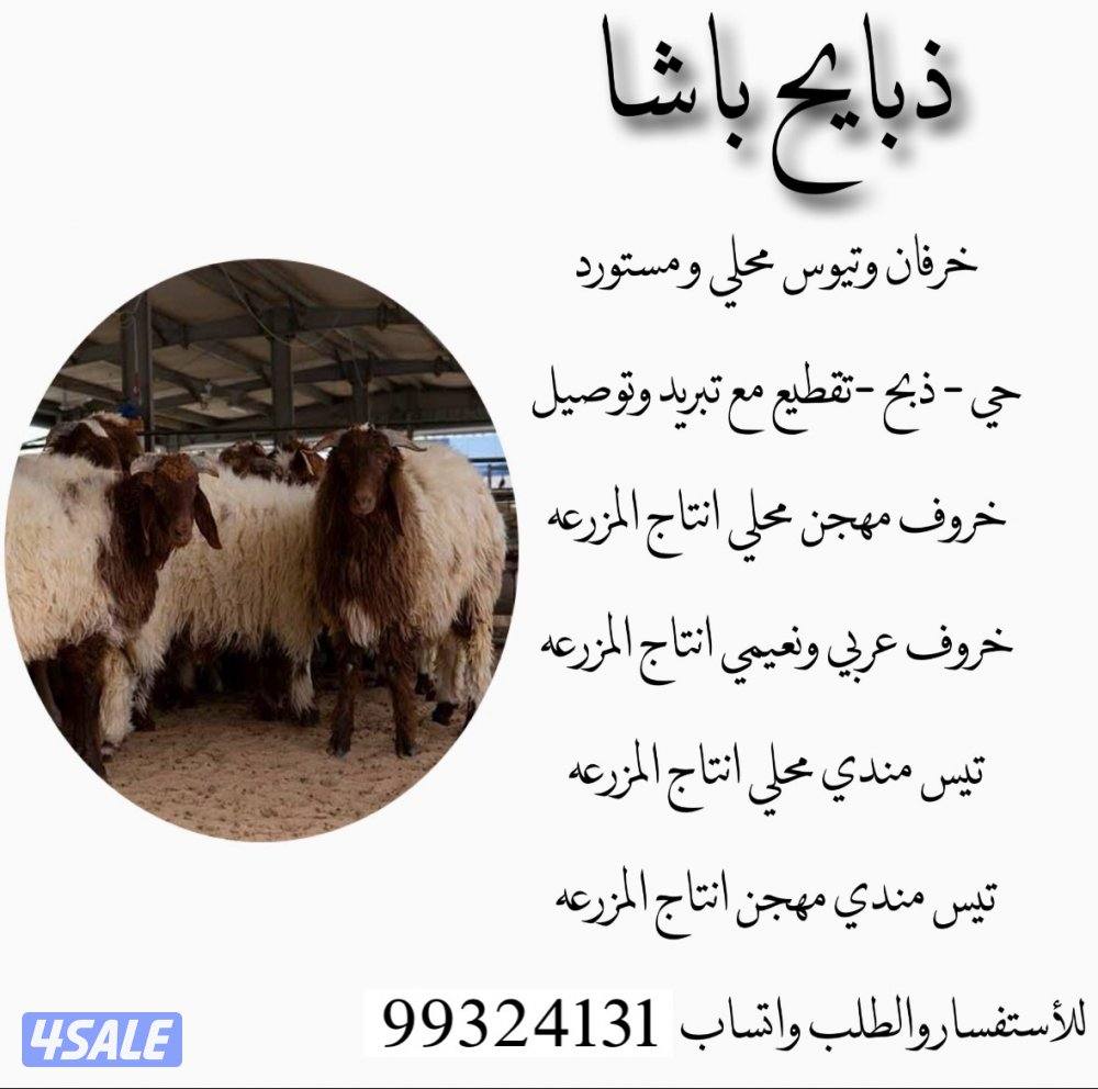 بيع ماشيه حي او ذبيحه يوجد خدمة توصيل0