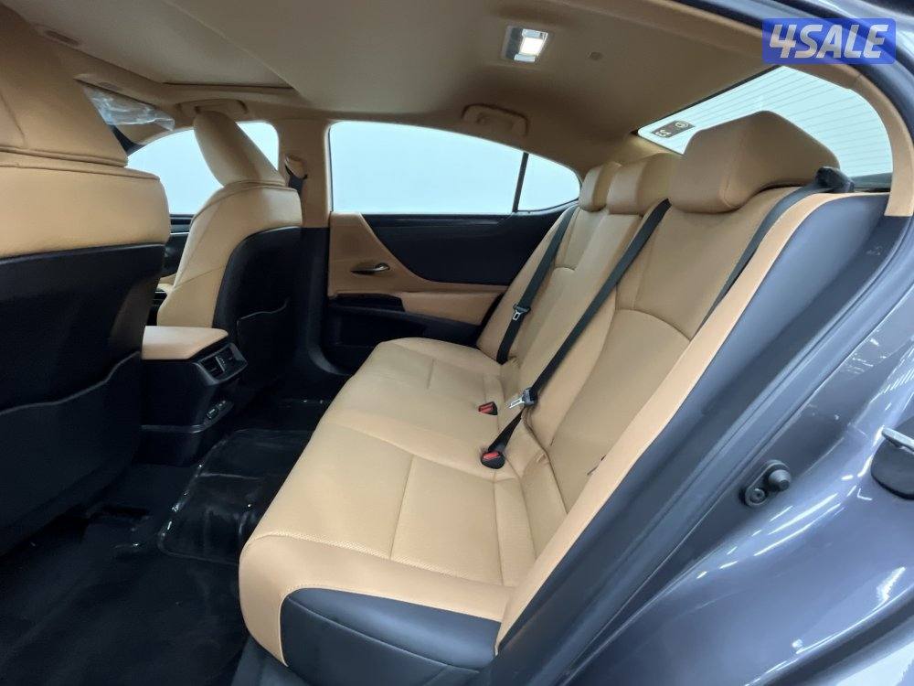 LEXUS ES250 PREMIER3