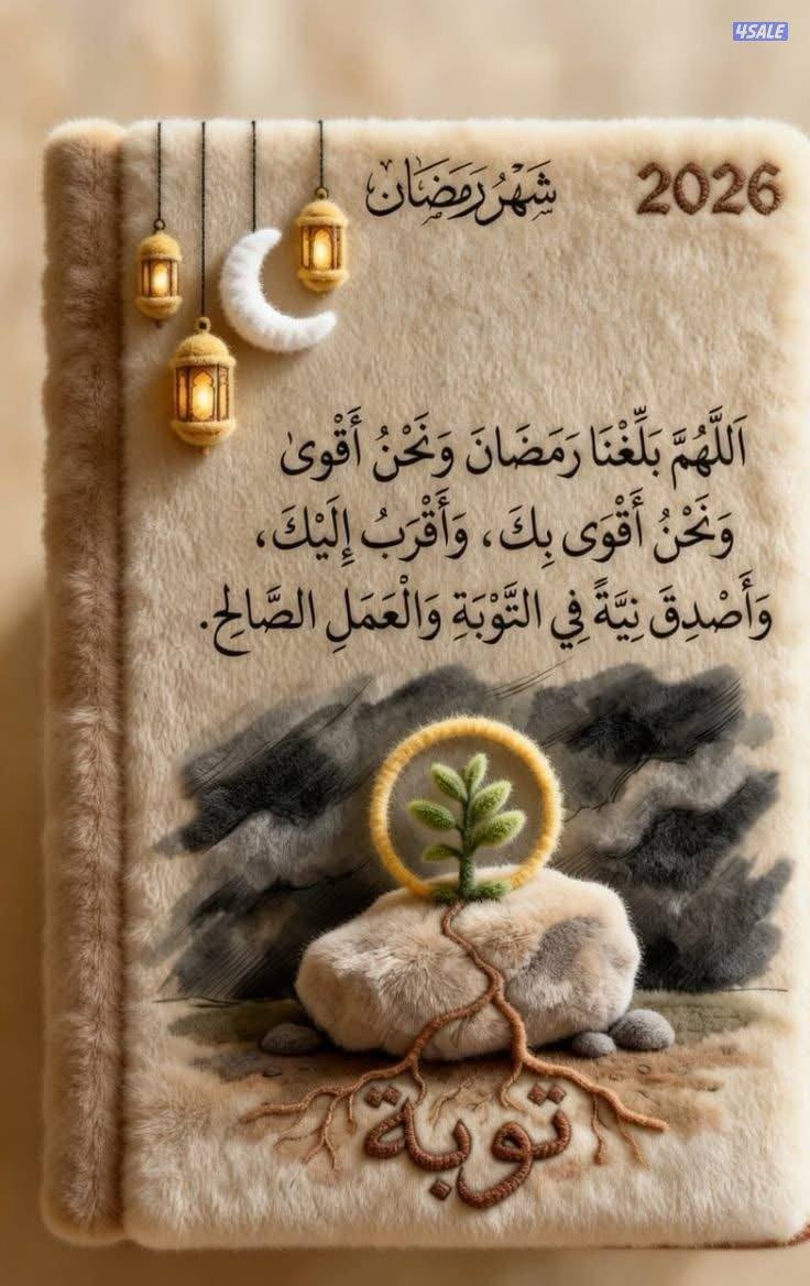 ميدان حولي0