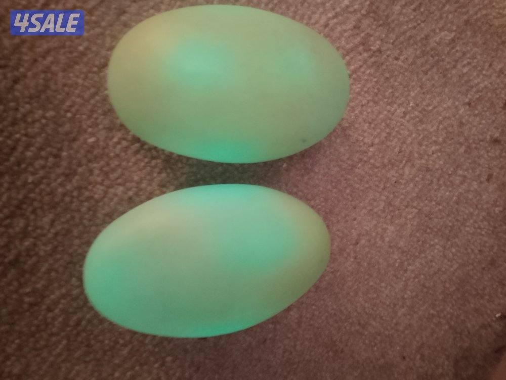 للبيع احجار الطاقة المضيئة0