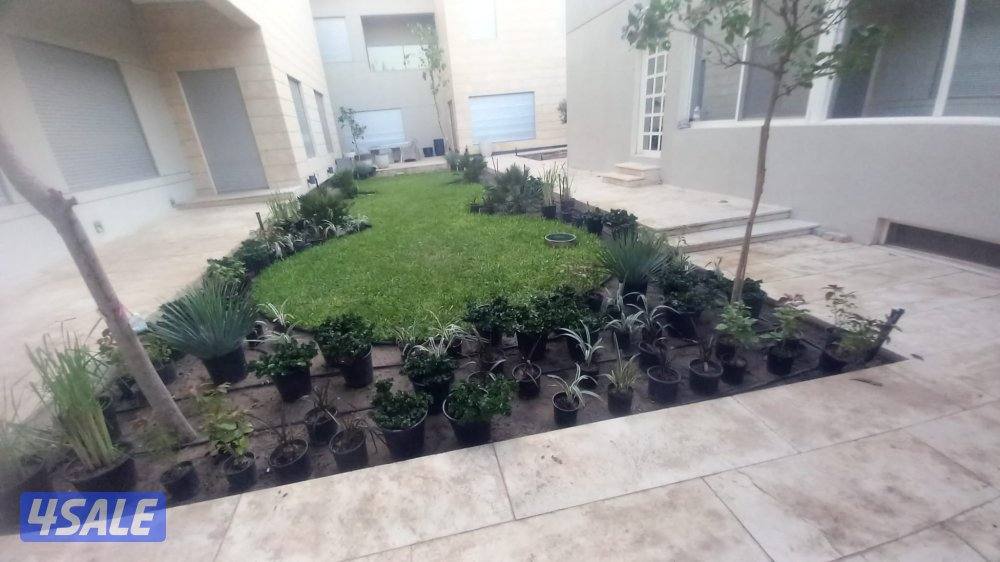 مهندس متخص في زراعه ثيل طبيعي وصناعي وشبكه ري بجميع انواعها وبلاط متدخ2