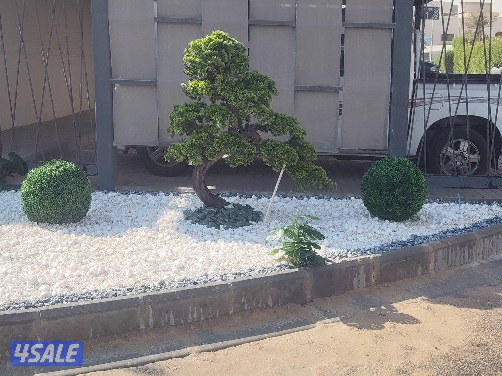 مهندس متخص في زراعه ثيل طبيعي وصناعي وشبكه ري بجميع انواعها وبلاط متدخ6