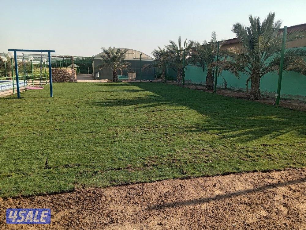 تنسيق حدائق داخليه وخارجيه7