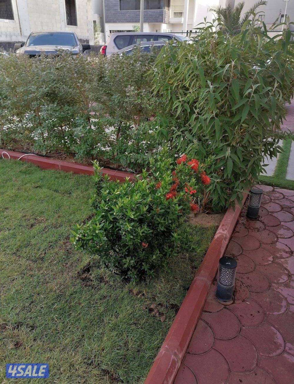 بيع وتركيب الثيل الصناعي والطبيعي وشبكات الري والسياج التركي6