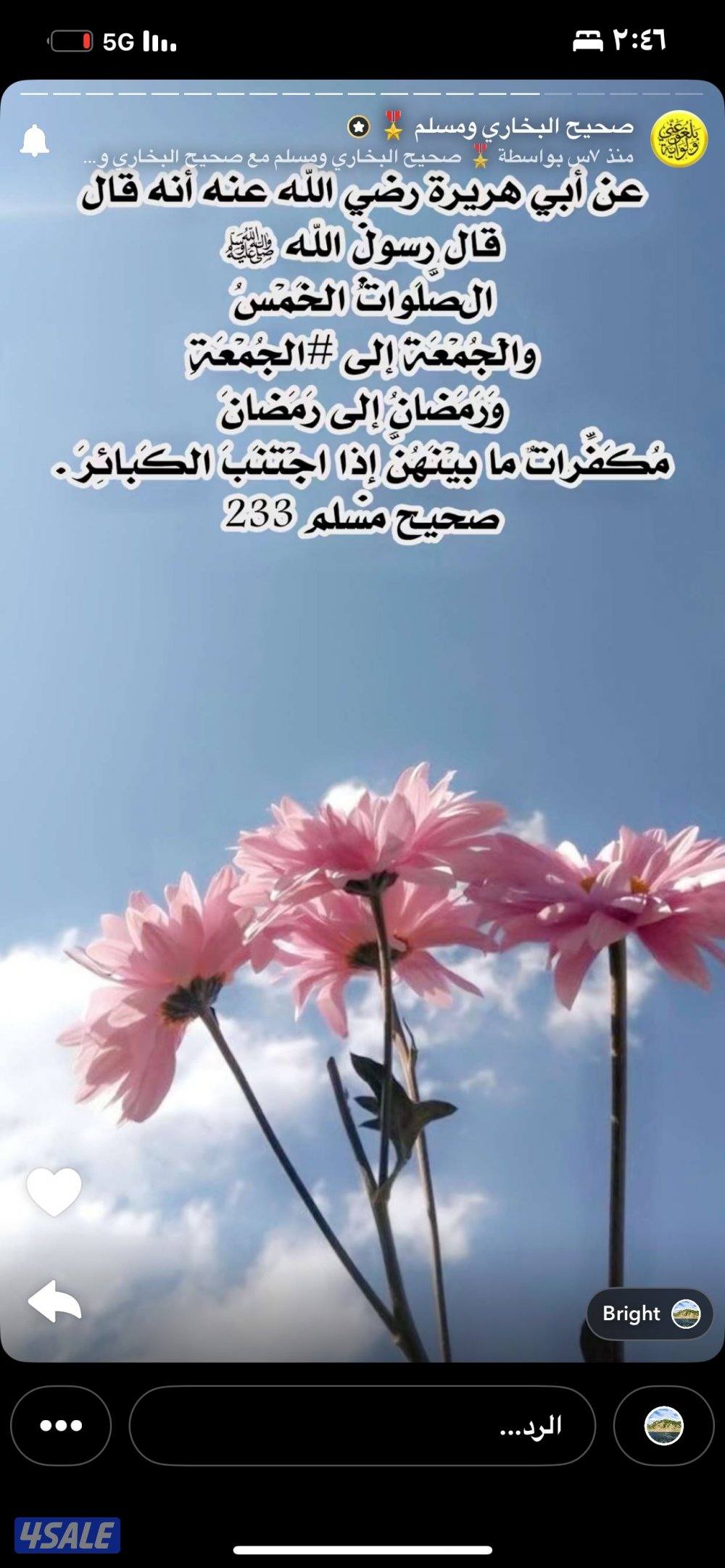 للبيع خلفات0