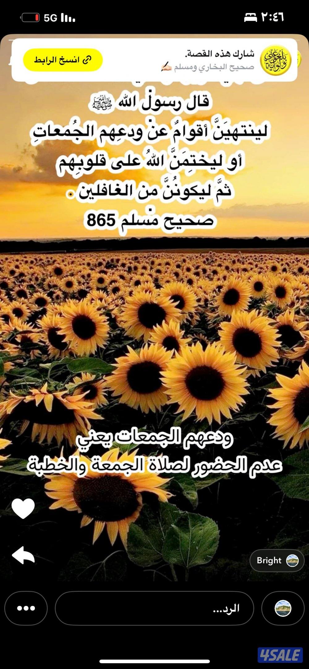 للبيع خلفات4