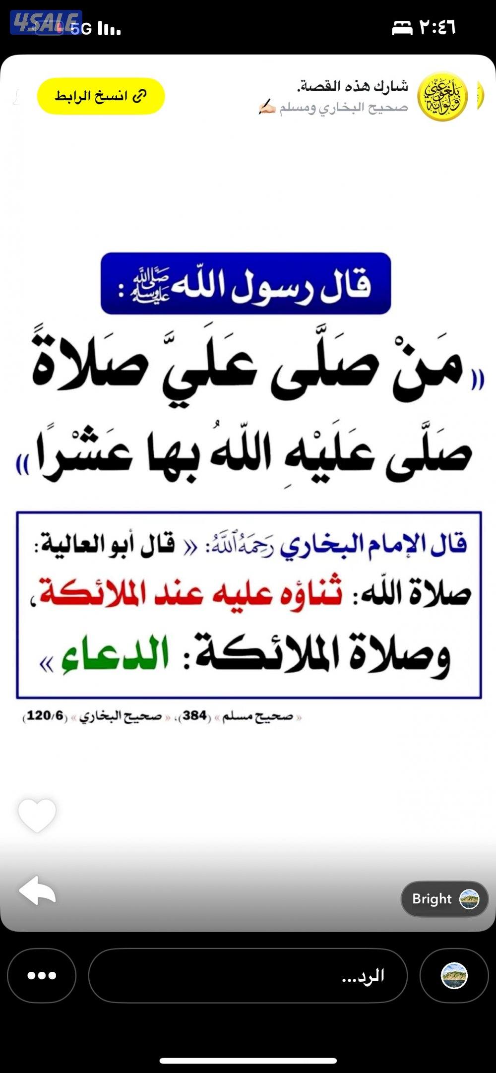 للبيع خلفات5