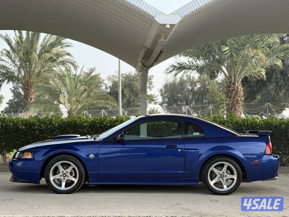 موستنج 2004 عداد 80 بحالة نادرة5