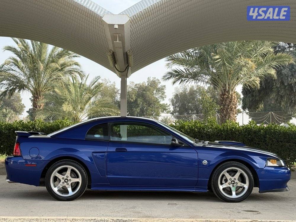 موستنج 2004 عداد 80 بحالة نادرة6