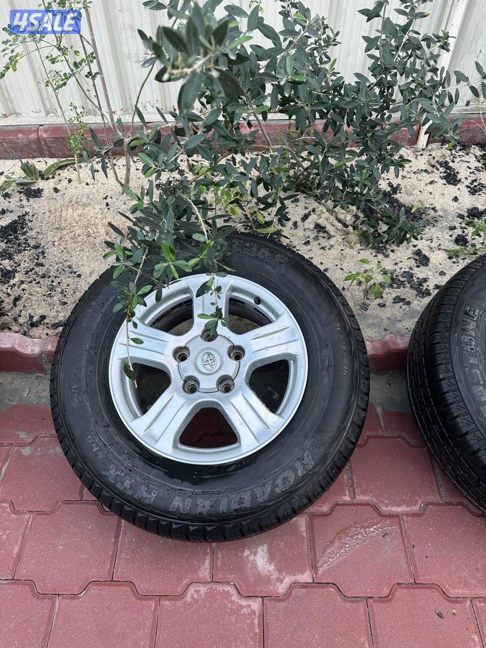 رنفات سوكيا مع التواير 20151