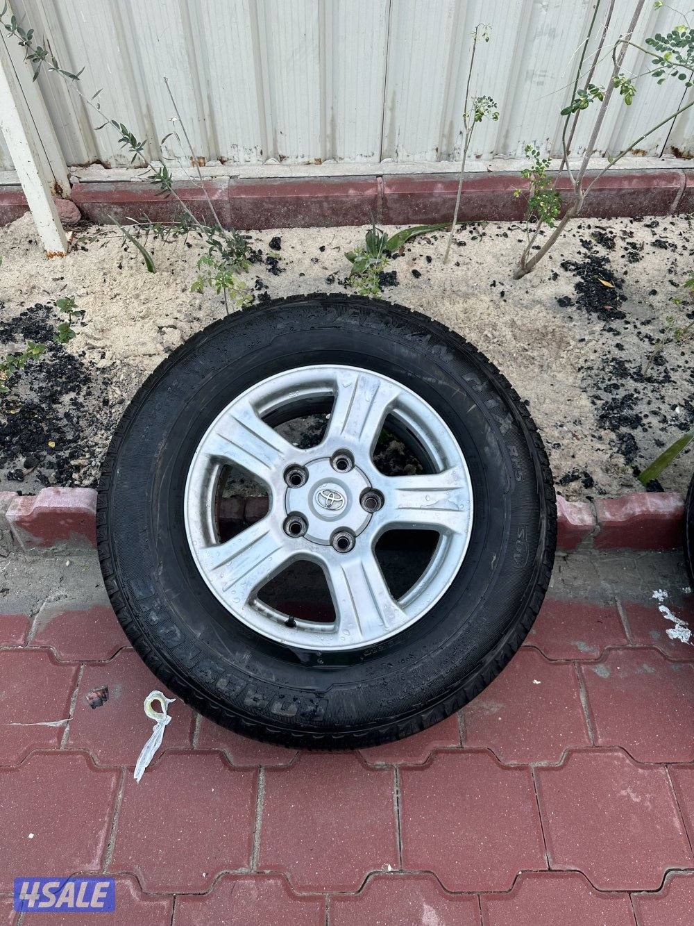 رنفات سوكيا مع التواير 20152