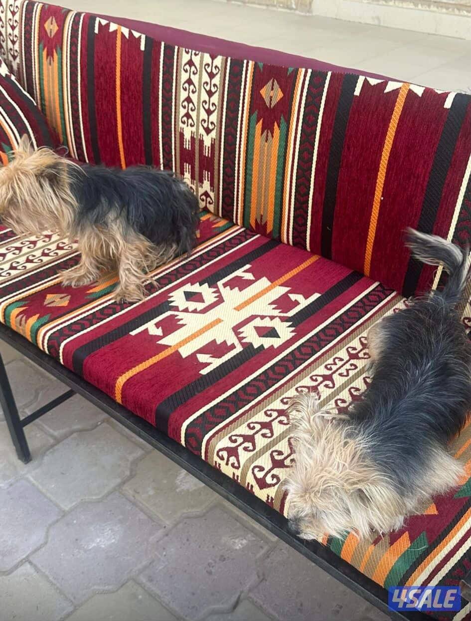 للبيع جلاب بيعه سريعه7