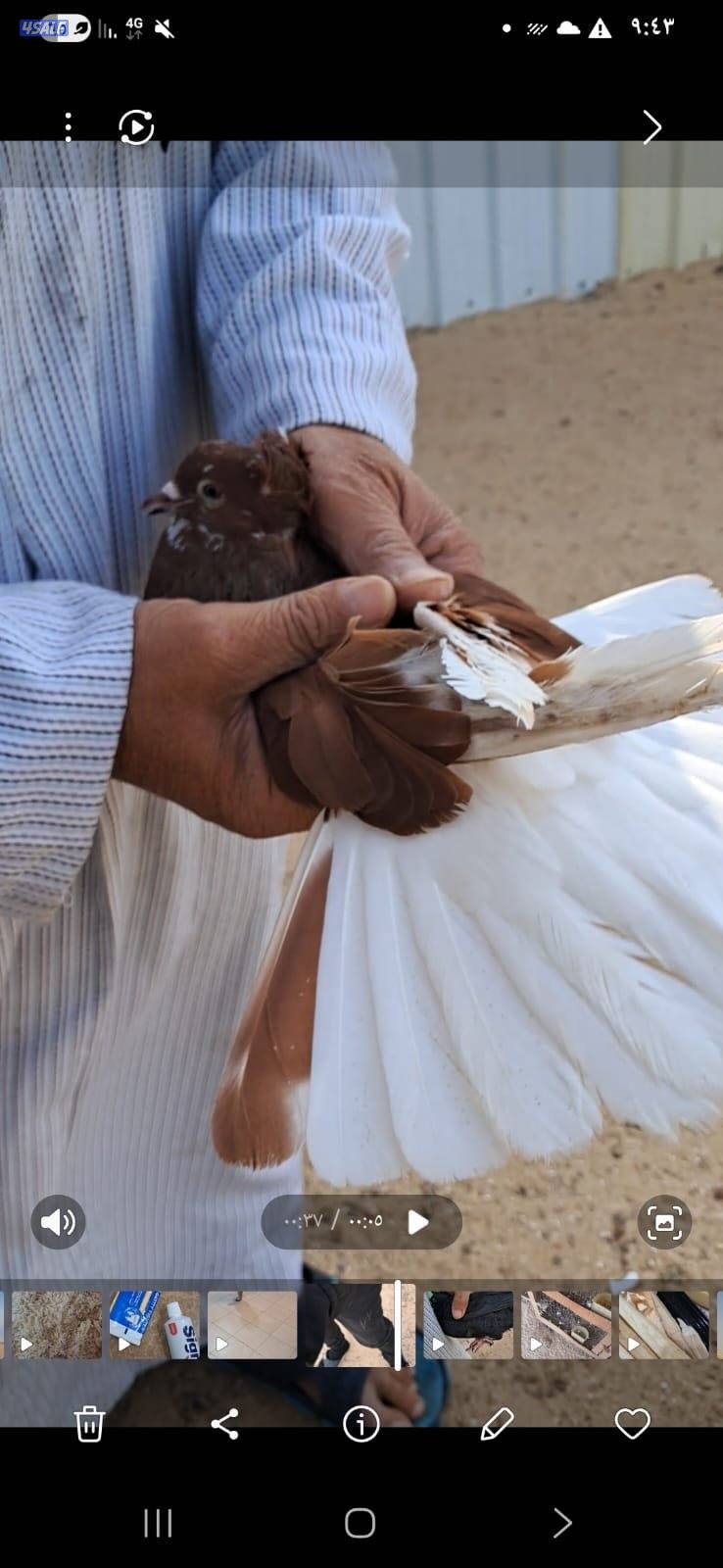 سكايكتر بيور اكراني0