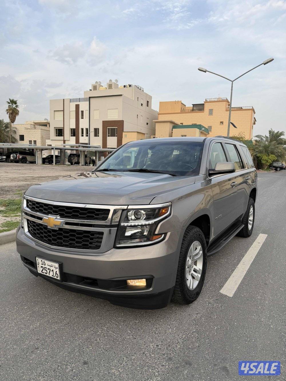 صبغ الوكاله عداد 190 بحاله ممتازه وارد الغانم2