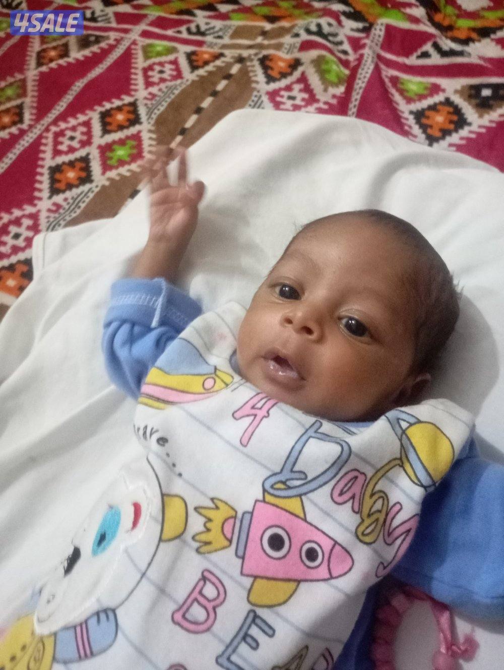 فني صحي جميع التمديد الصحي صيانه عامه تركيب اطقم الحمامات تركيب فلاتر6