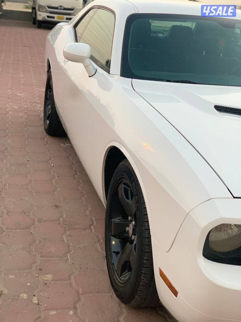 دودج تشالنجر 2013 للبيع4