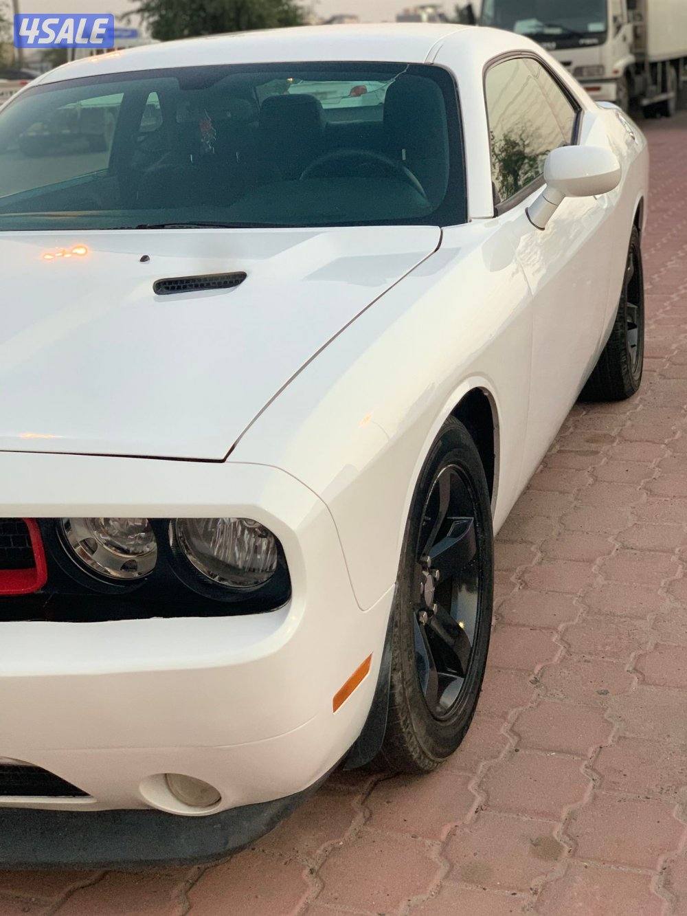 دودج تشالنجر 2013 للبيع5