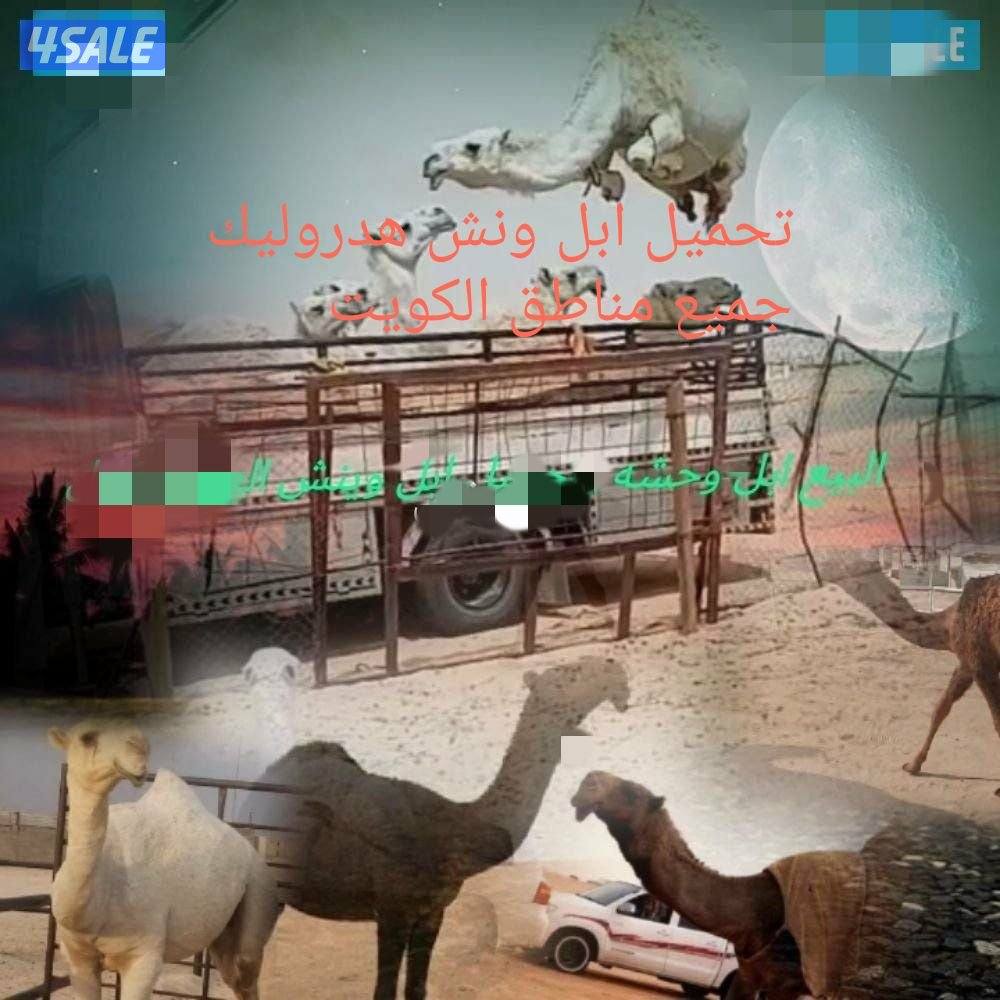 تحميل ابل ونش هدروليك جميع مناطق الكويت0