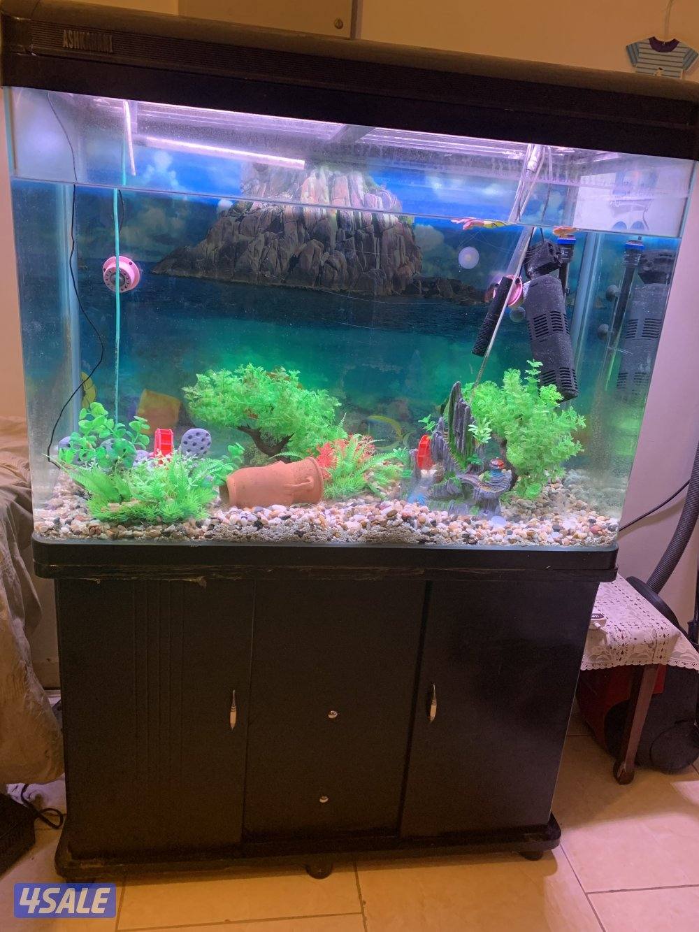 للبيع حوض سمك كبير0