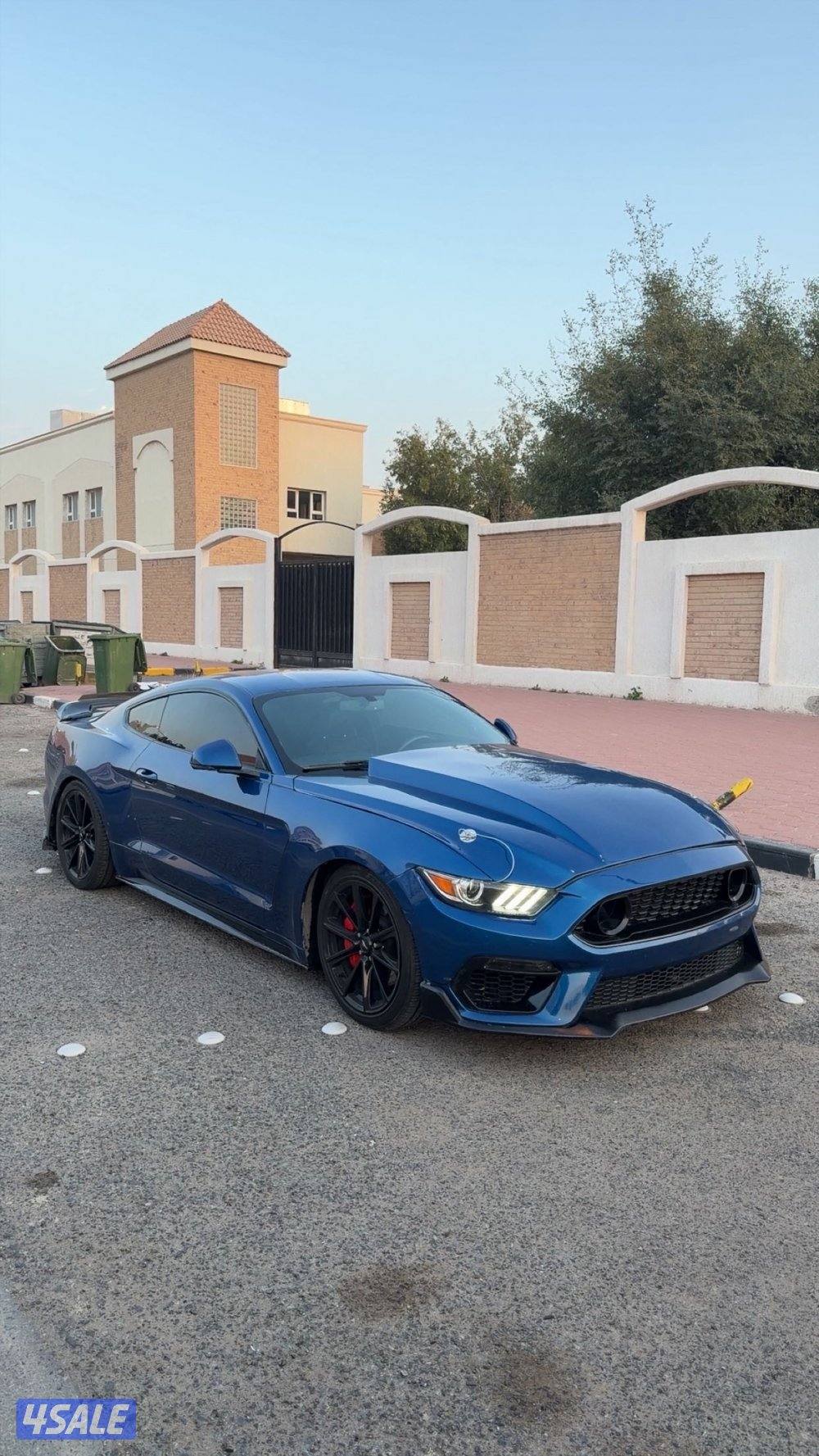 سبشيل كاليفورنيا اصلي0