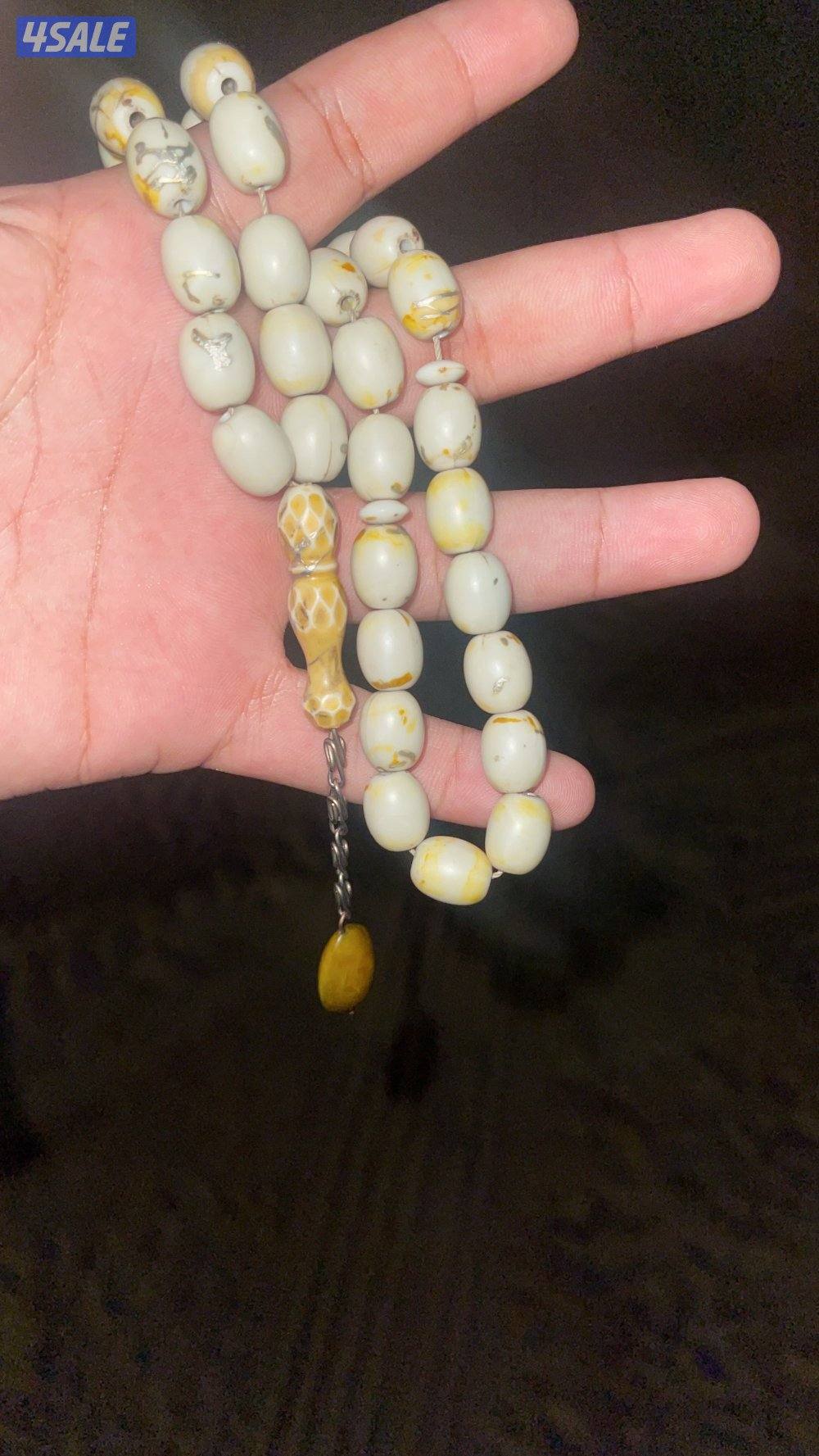 كهرب ضغط مطعم فضه من النوادر شاريه من بولندا الي يبيه يتواصل واتساب0