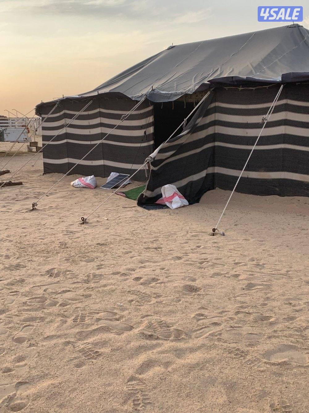 سلام عليكم اللبيع بيت شعر١٠/٥ تسعة تسعة تسعه 50568 رقم الهاتف0