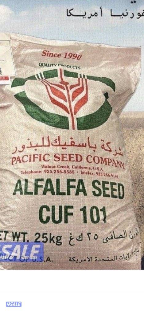 بذور برسيم باسفك0