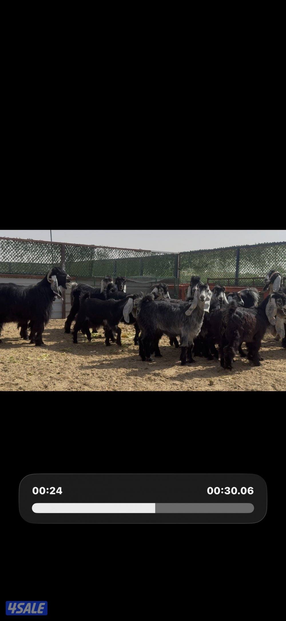 جذعات عوارض ربش العداد 10 مع التيس6