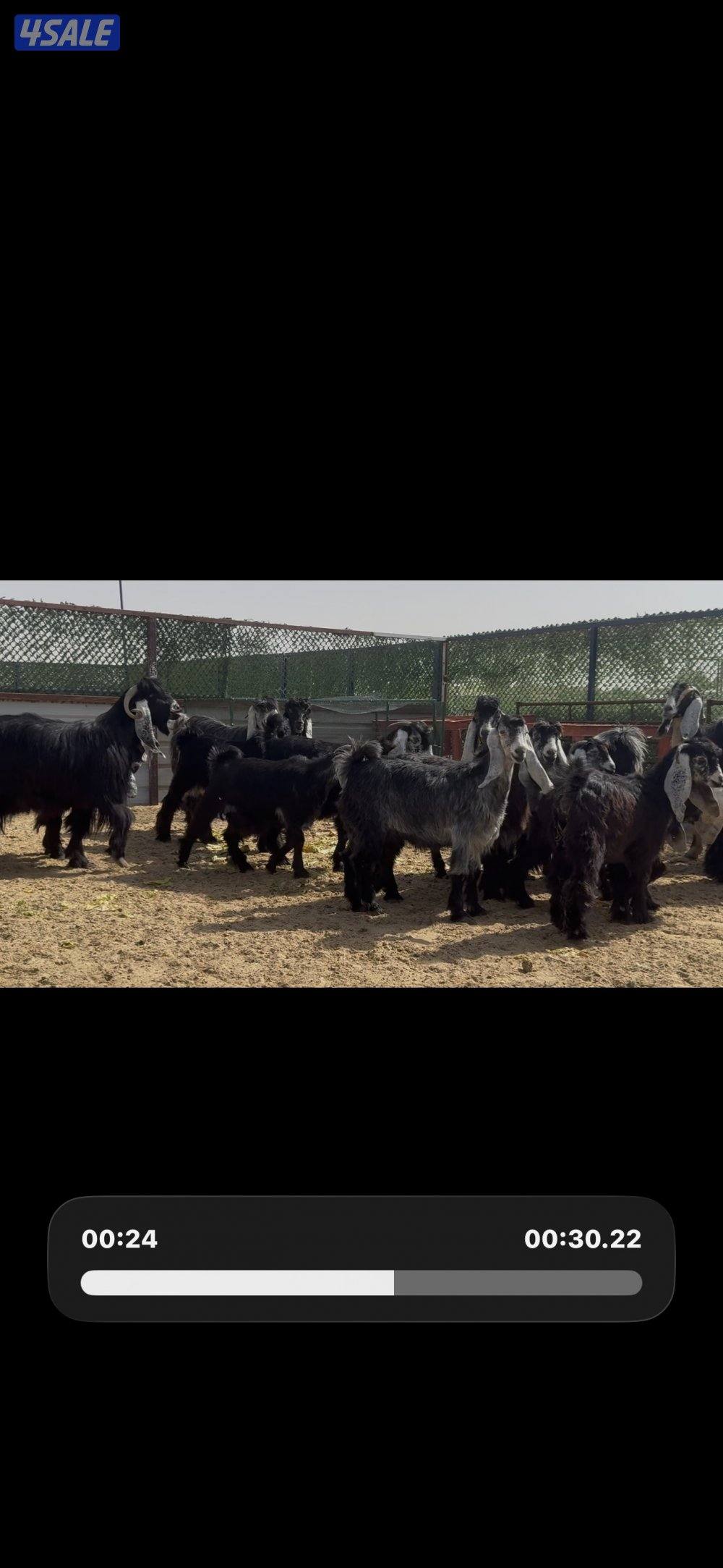 جذعات عوارض ربش العداد 10 مع التيس8