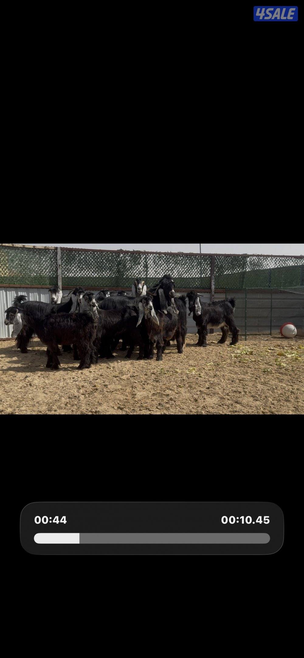 جذعات عوارض ربش العداد 10 مع التيس9