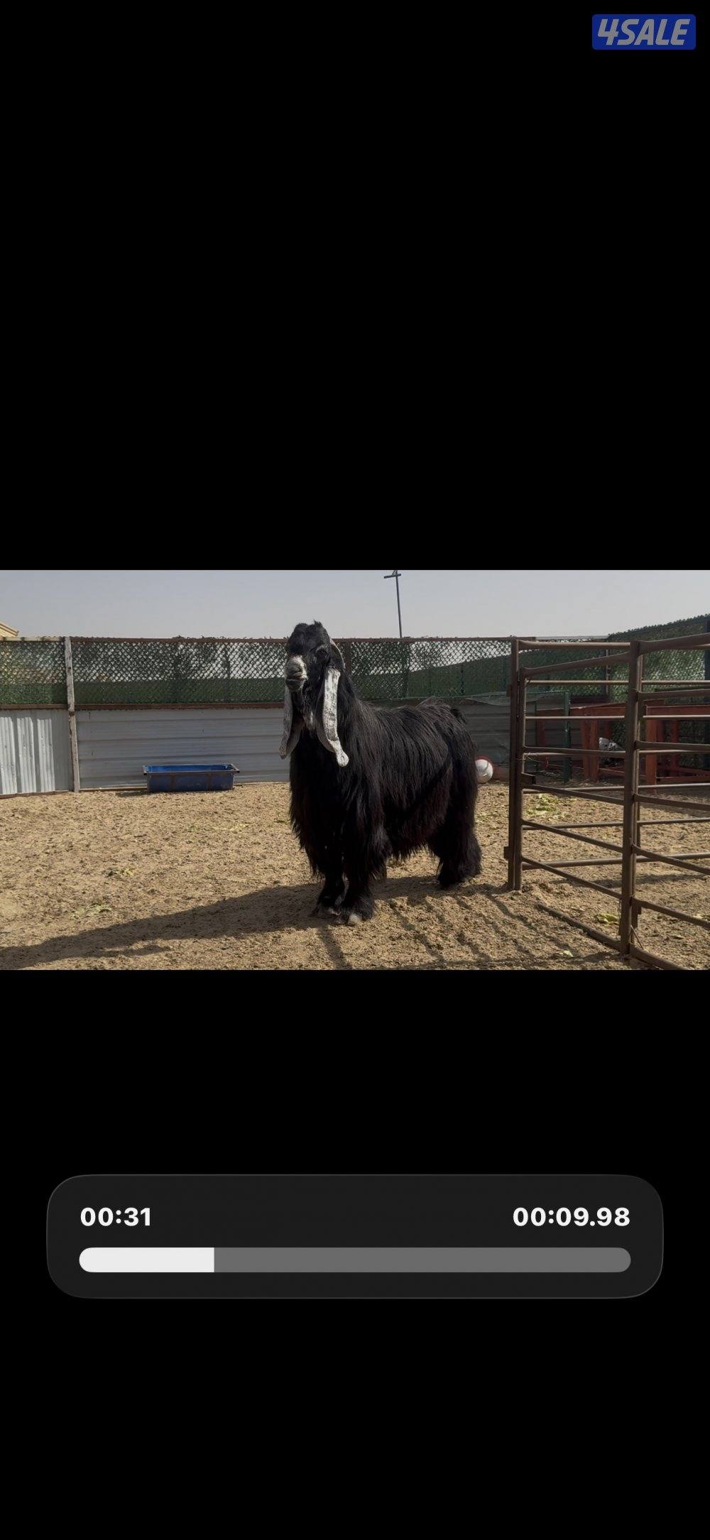 جذعات عوارض ربش العداد 10 مع التيس11