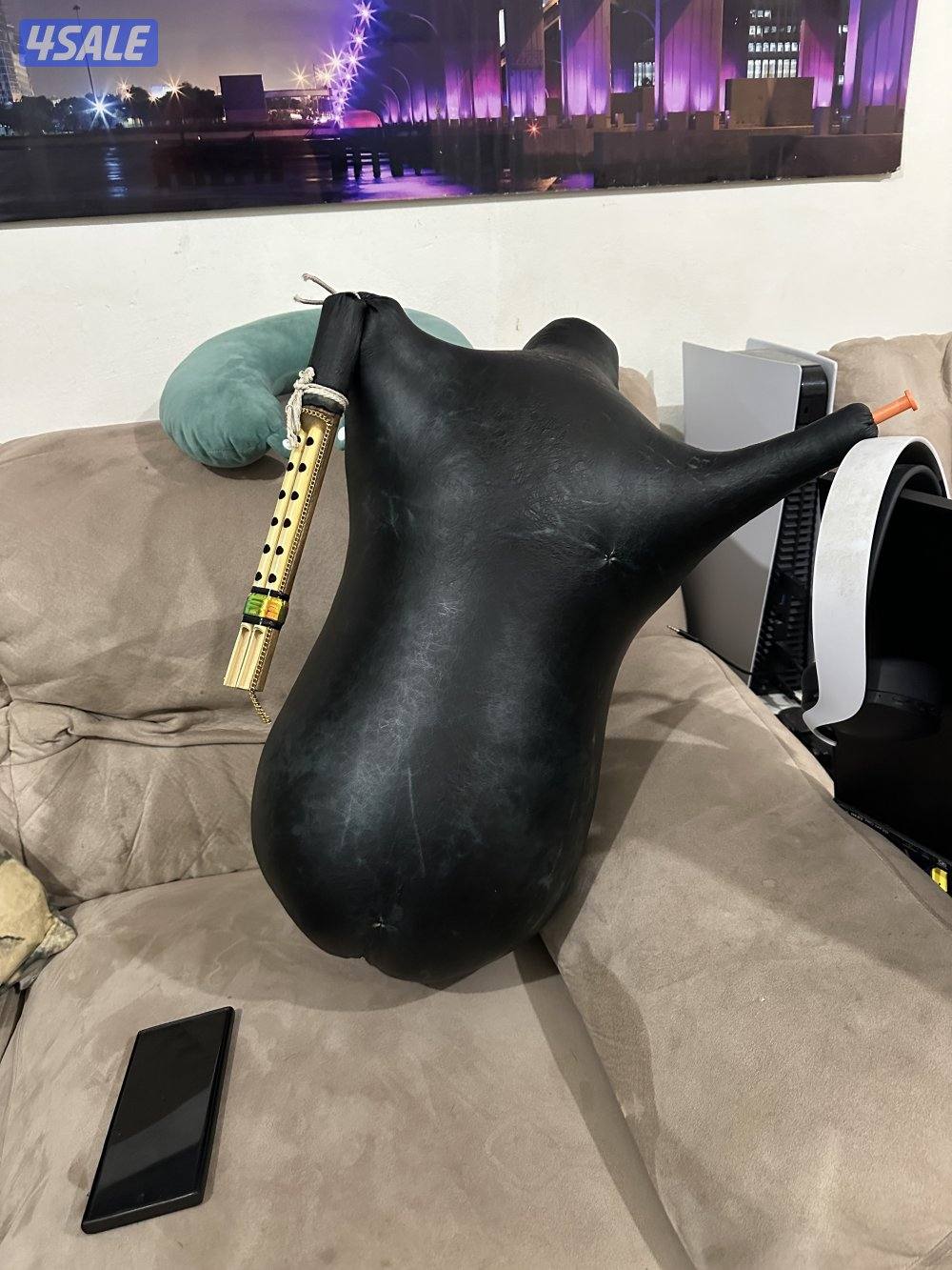 للبيع هبان ايراني بوشهري اصلي وارد ايران1