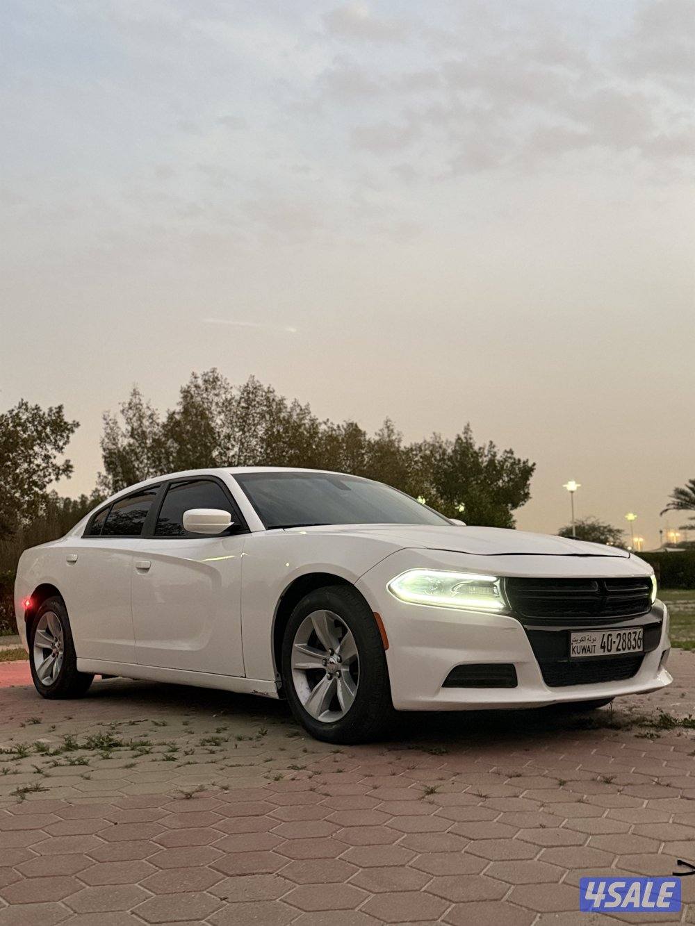 للبيع دودج تشارجر 20176