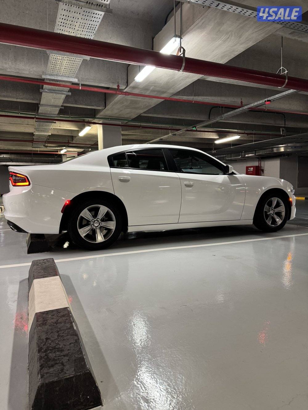 للبيع دوج تشارجر 2020 ماشي 66 الف قمة في النظافه2