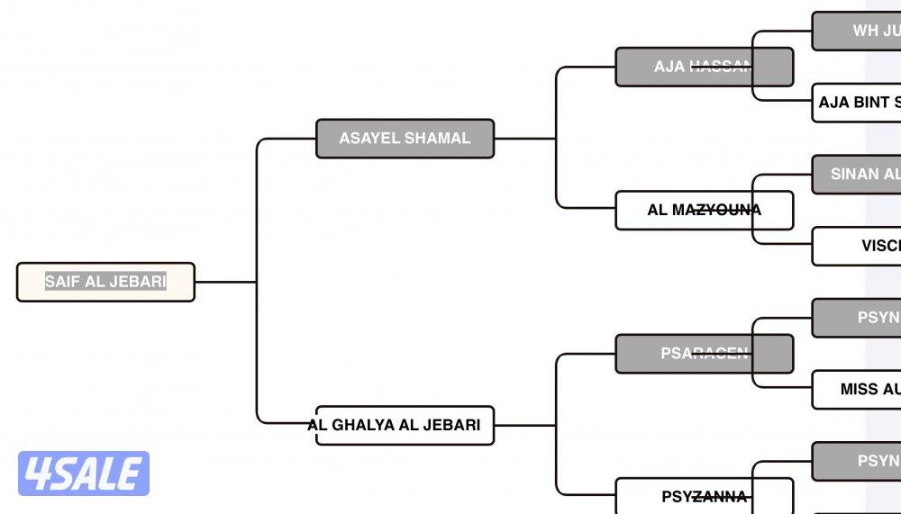 للبيع حصان عربي واهو سلم تحويل5