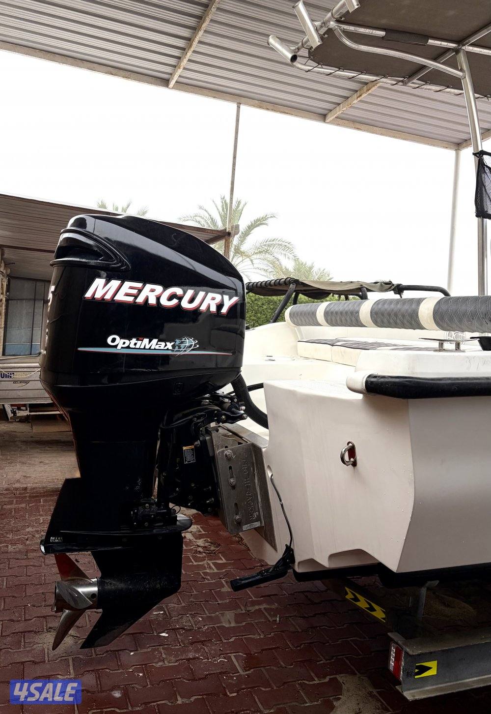 بن غليطه 24S4