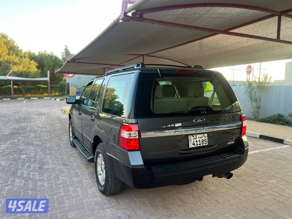 اكسبدشن 2015 صبغ وكالة3