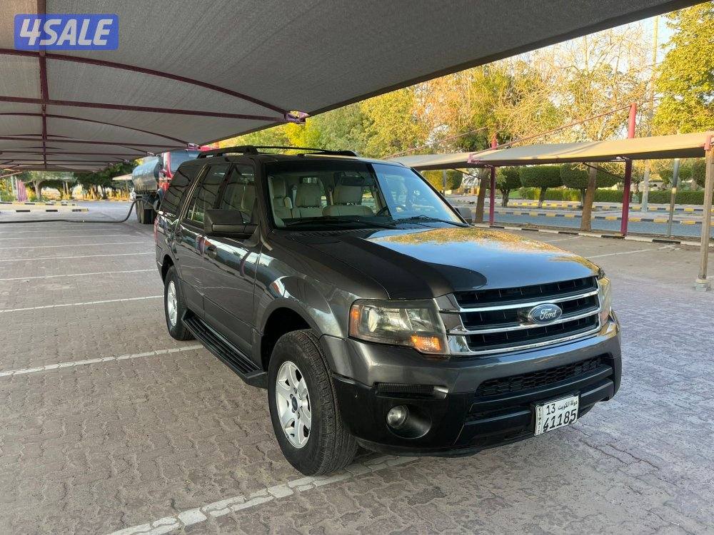 اكسبدشن 2015 صبغ وكالة2