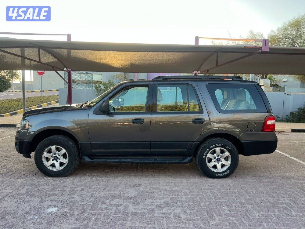 اكسبدشن 2015 صبغ وكالة5