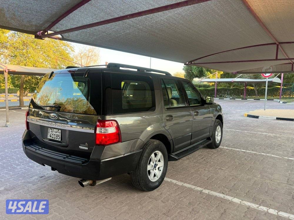 اكسبدشن 2015 صبغ وكالة7