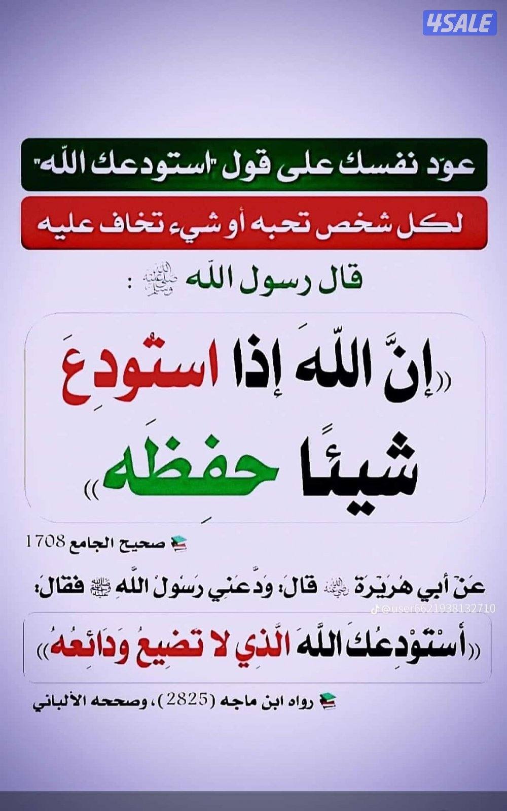 دور ثاني مصعد0