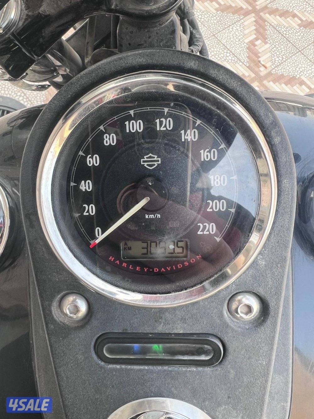 هارلي Dayna 20131