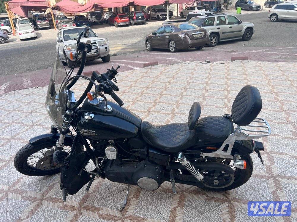 هارلي Dayna 20133