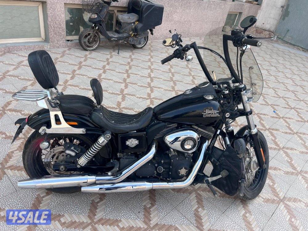 هارلي Dayna 20134