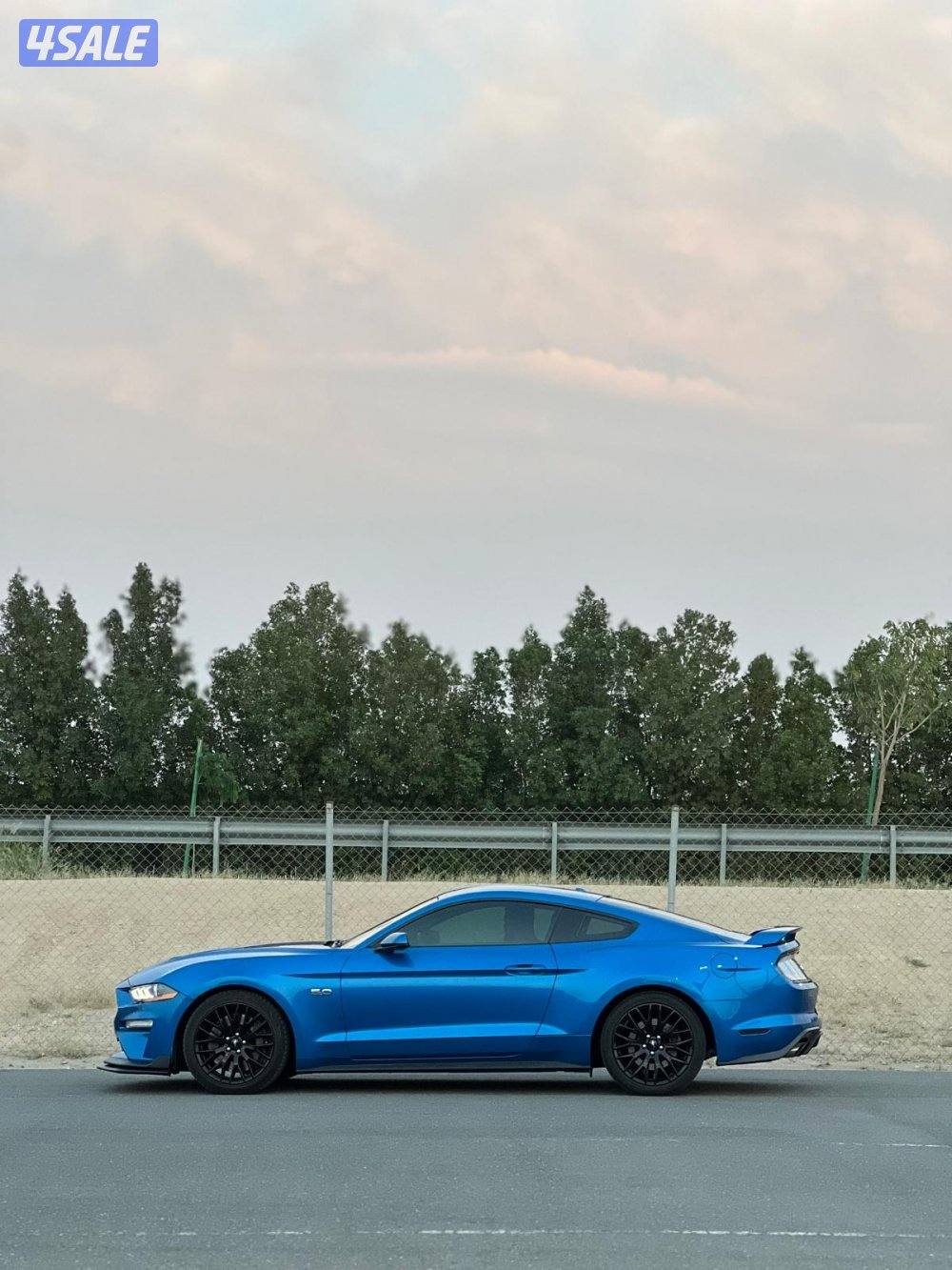 للبيع موستنق1