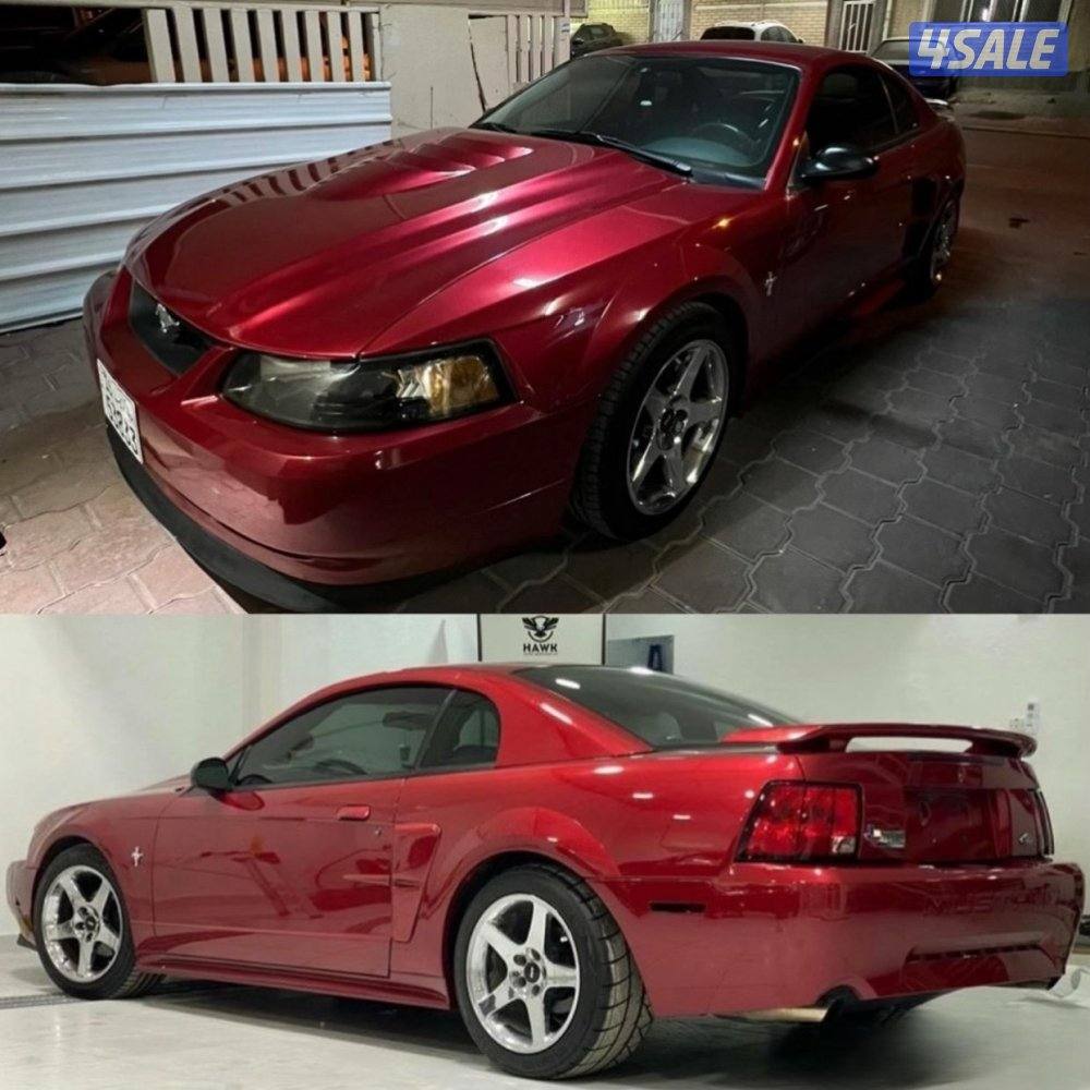 موستنق 2003 "ماشي 85 كيلو "0